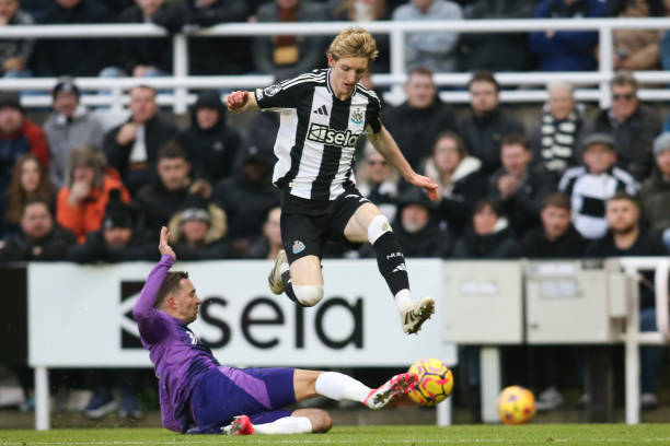 包括但不限 包括但不限